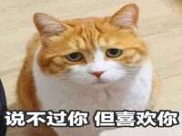 苏州墨哲根商贸有限公司