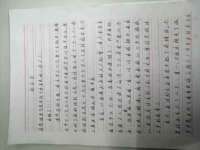 苏州墨哲根商贸有限公司