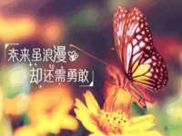 苏州墨哲根商贸有限公司