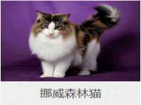 苏州墨哲根商贸有限公司