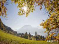 苏州墨哲根商贸有限公司
