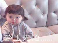苏州墨哲根商贸有限公司
