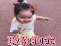 苏州墨哲根商贸有限公司