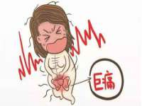 苏州墨哲根商贸有限公司