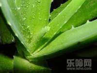 苏州墨哲根商贸有限公司