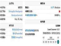 苏州墨哲根商贸有限公司