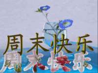 苏州墨哲根商贸有限公司