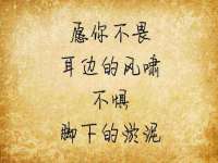 苏州墨哲根商贸有限公司