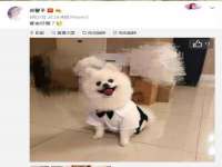 苏州墨哲根商贸有限公司