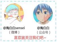 苏州墨哲根商贸有限公司