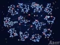 苏州墨哲根商贸有限公司