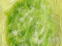 苏州墨哲根商贸有限公司
