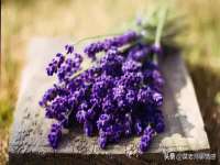 苏州墨哲根商贸有限公司
